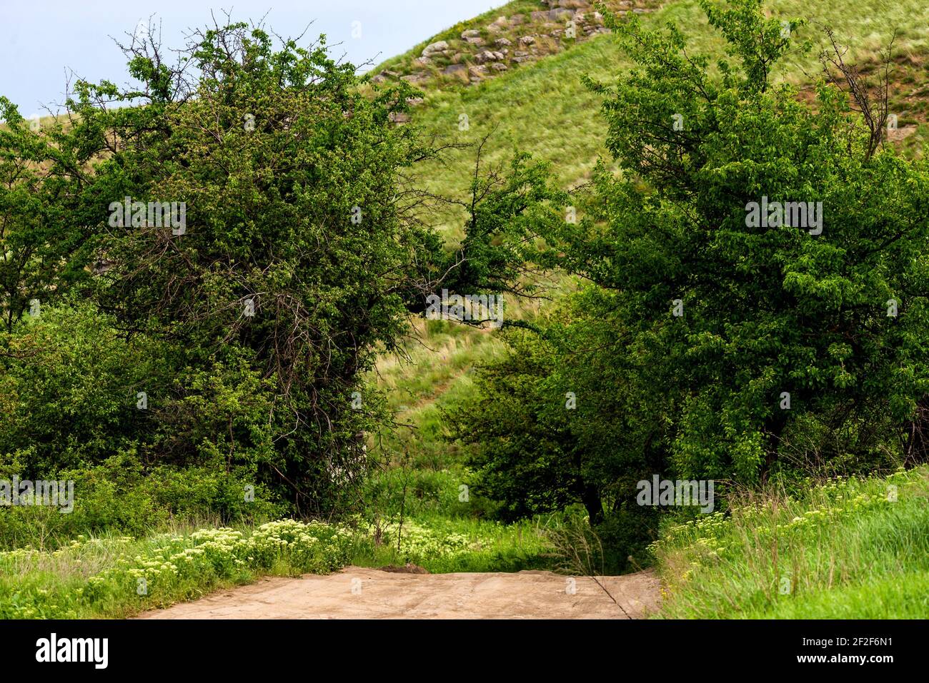 Rural area dirt road hi-res stock photography and images - Alamy