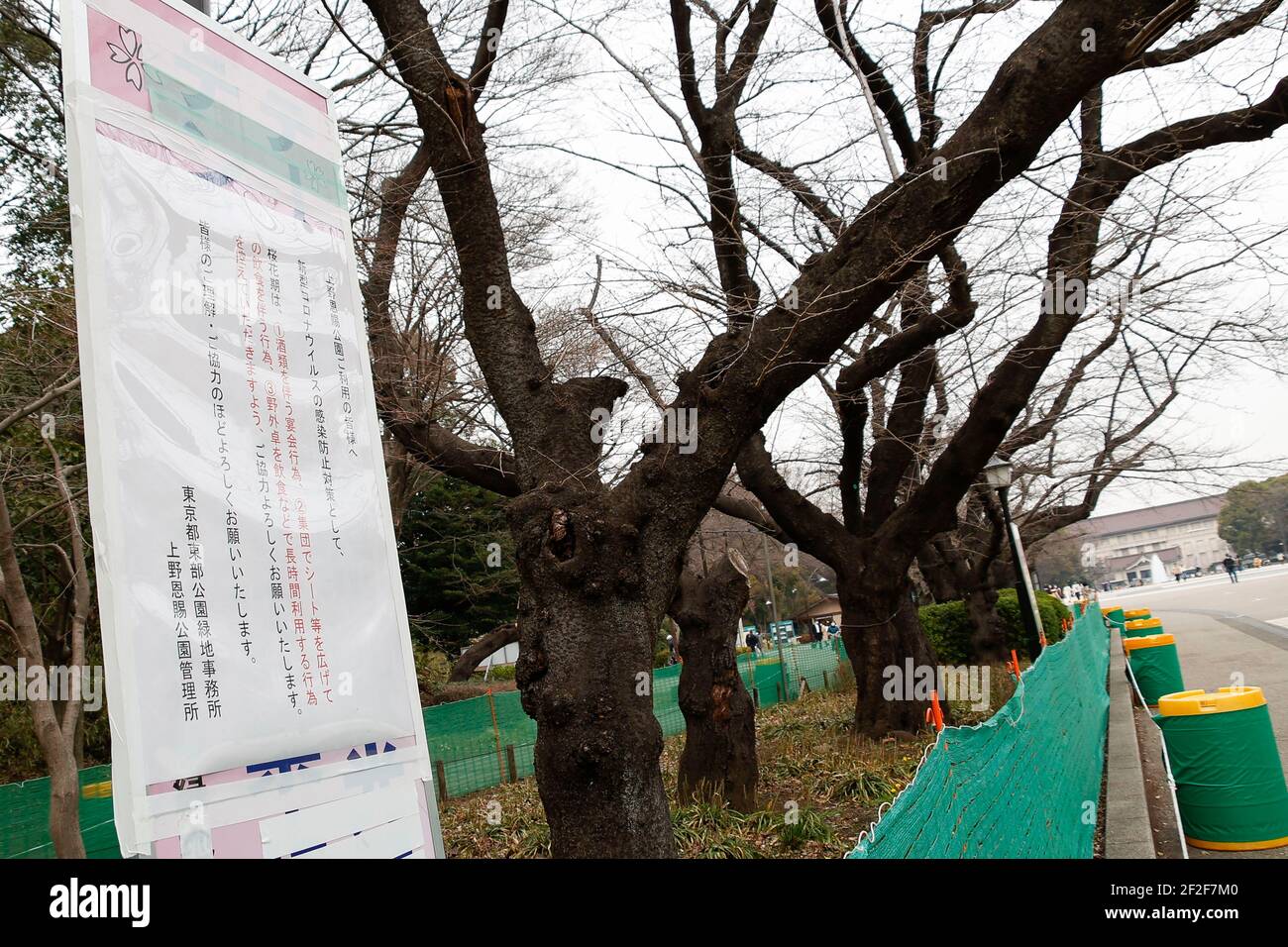 Fencing And Signs Set To Ban This Year S Parties Under The Cherry Blossoms Trees Are Seen At Ueno Park On March 12 21 Tokyo Japan To Reduce The New Coronavirus Spread In