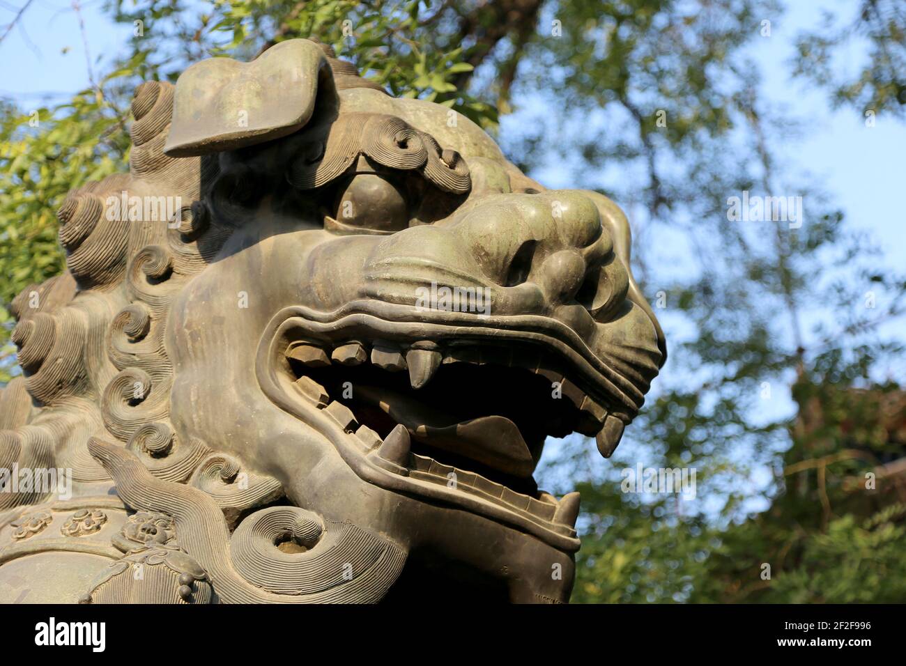 bronze-guardian-lion-statue-in-yonghe-temple-lama-temple-in-beijing