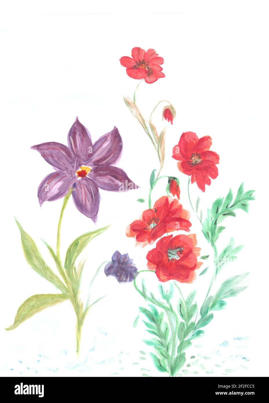 Flowers watercolor illustration. A tender bouquet on a white background ...