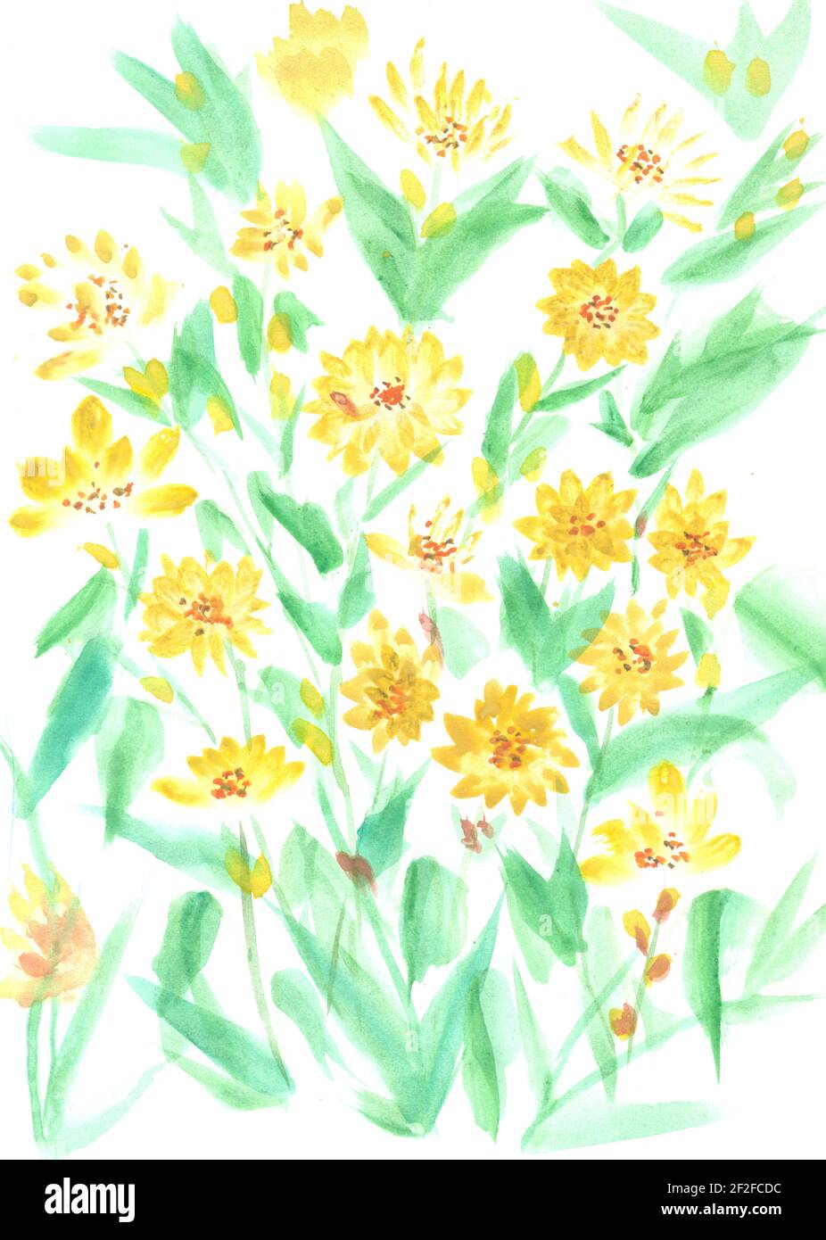 Flowers watercolor illustration. A tender bouquet on a white background ...
