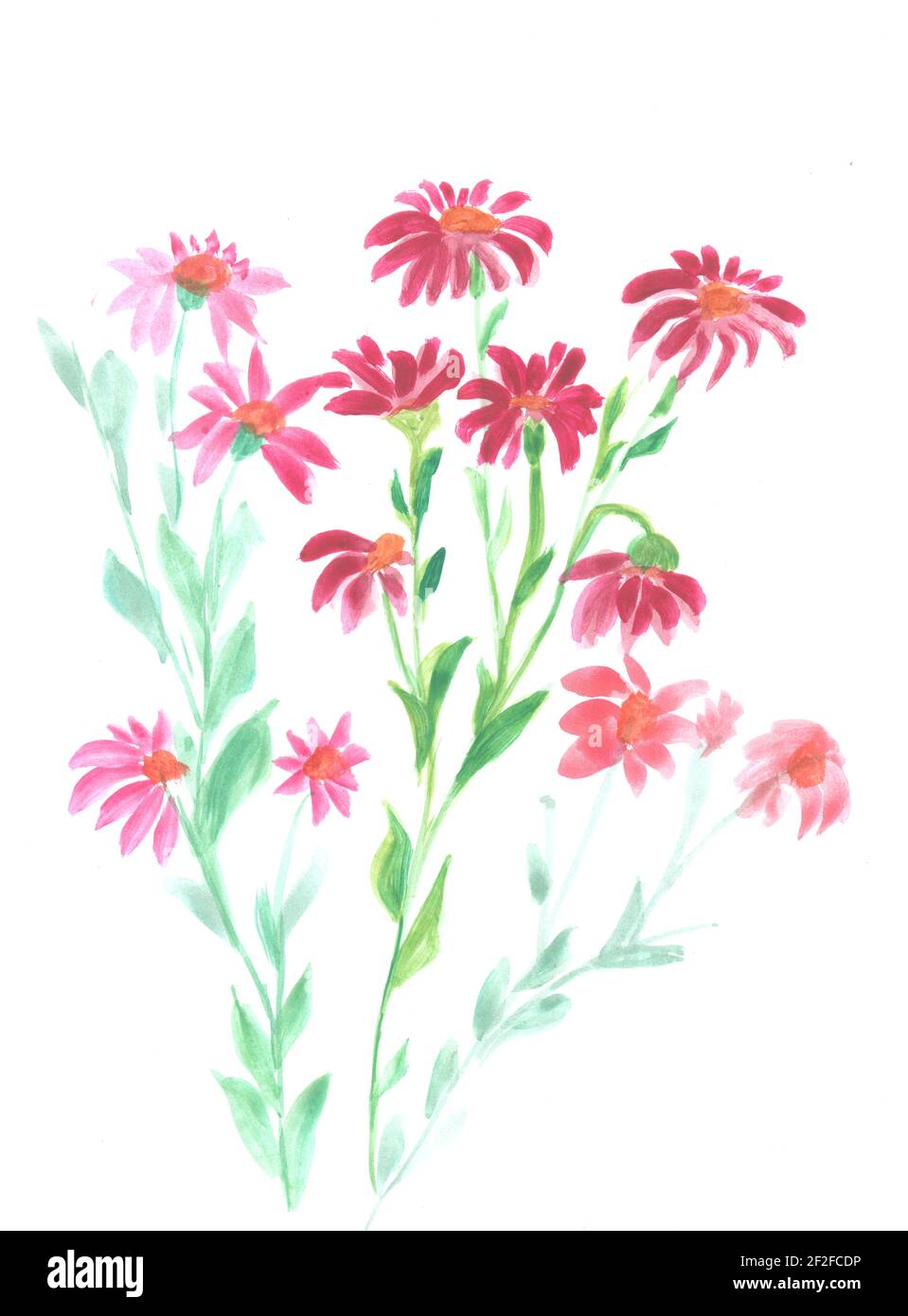 Flowers watercolor illustration. A tender bouquet on a white background ...