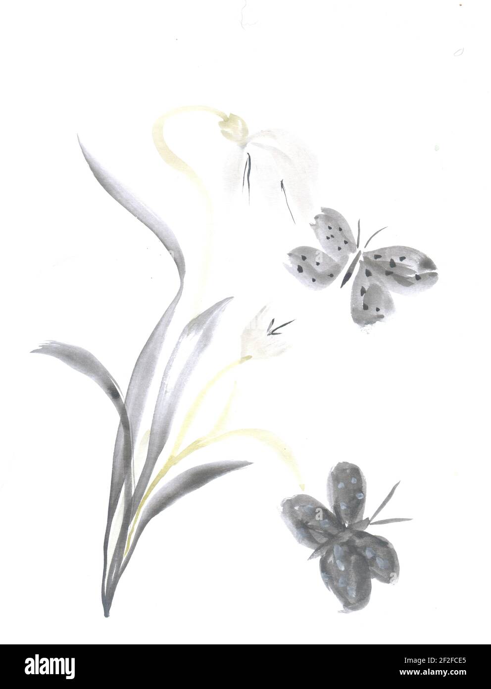 Flowers watercolor illustration. A tender bouquet on a white background ...