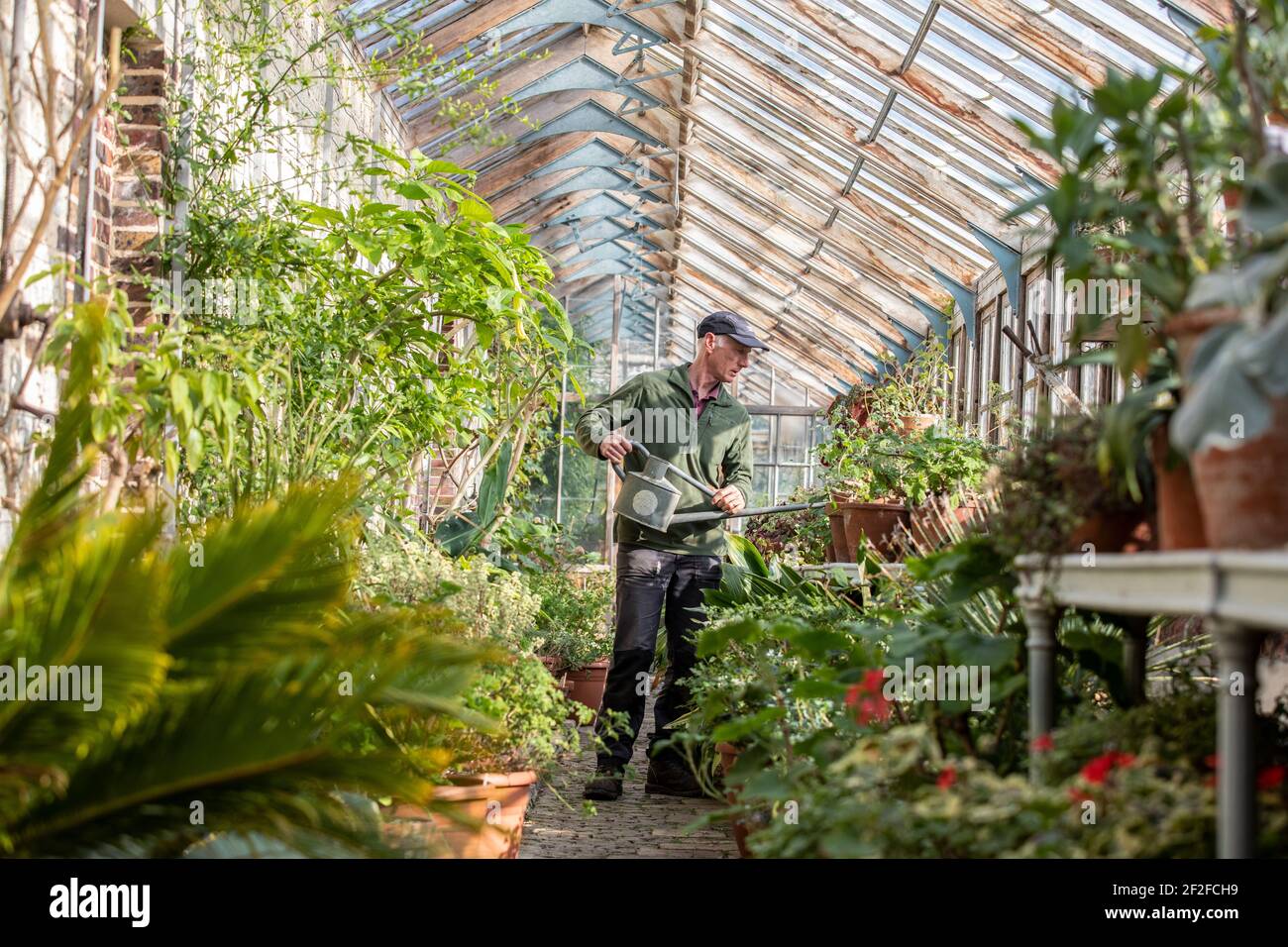 The edwardian head gardener hi-res stock photography and images - Alamy