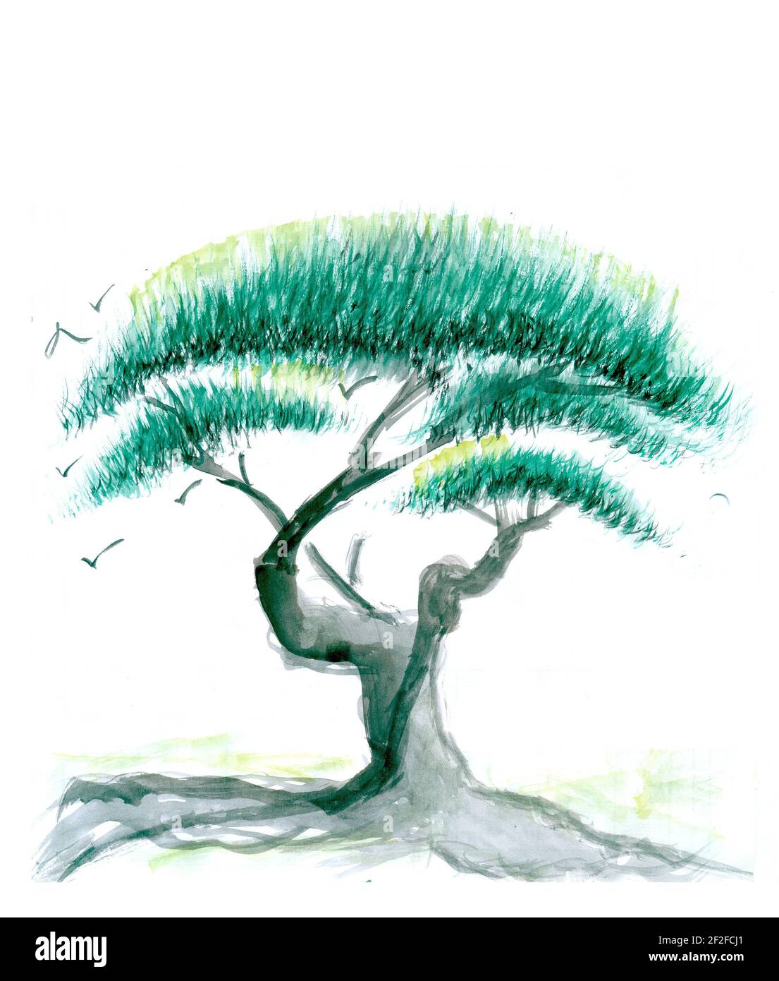mighty old tree with green spring leaves Stock Photo