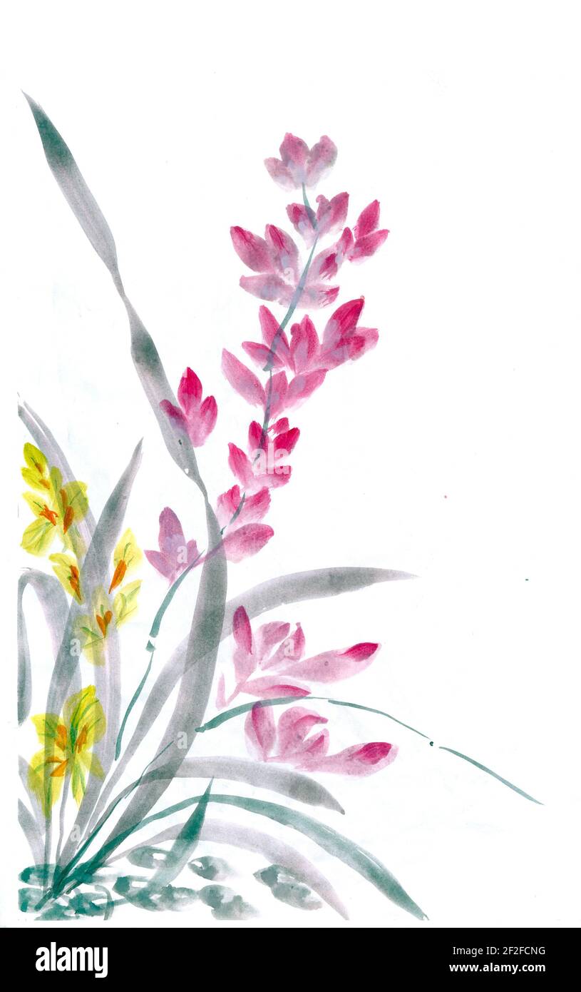 Flowers watercolor illustration. A tender bouquet on a white background ...