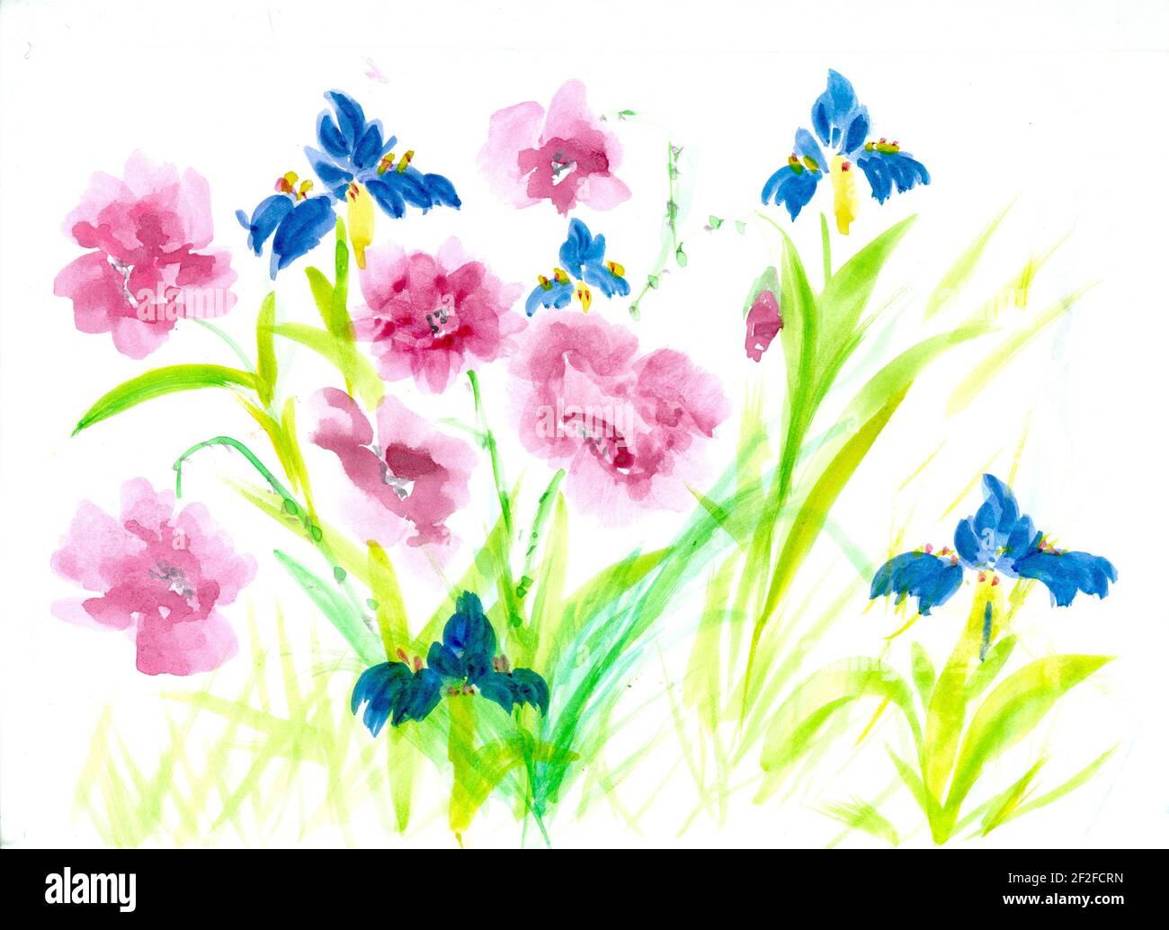 Flowers watercolor illustration. A tender bouquet on a white background ...