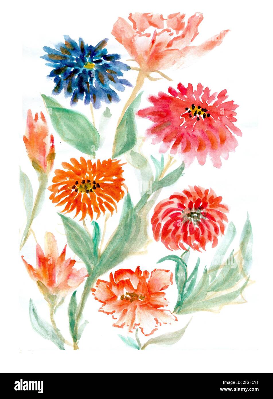 Flowers watercolor illustration. A tender bouquet on a white background ...