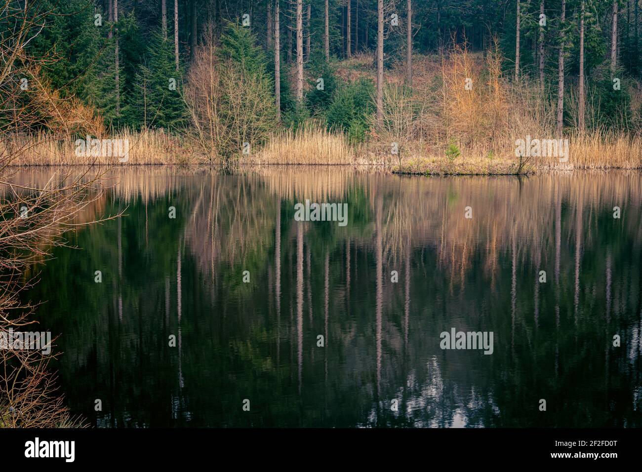 Lake image hi-res stock photography and images - Alamy
