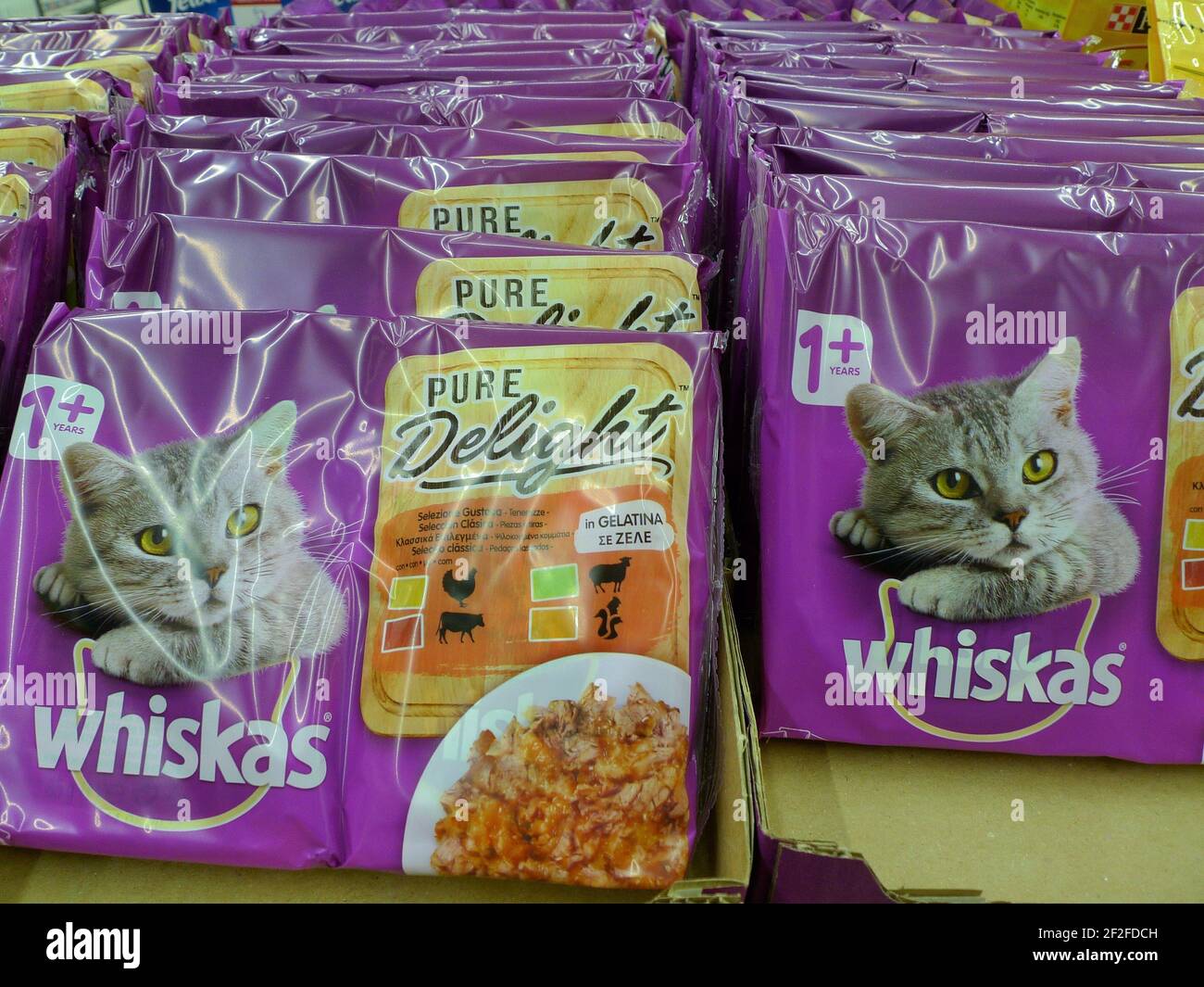 Whiskas kitten advert 2015 cheap