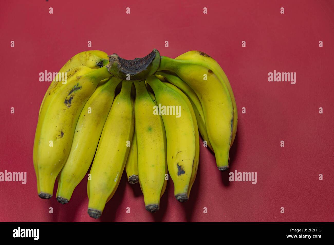 Bunch of yellow bananas. Bananas on the red background. Exotic fruit