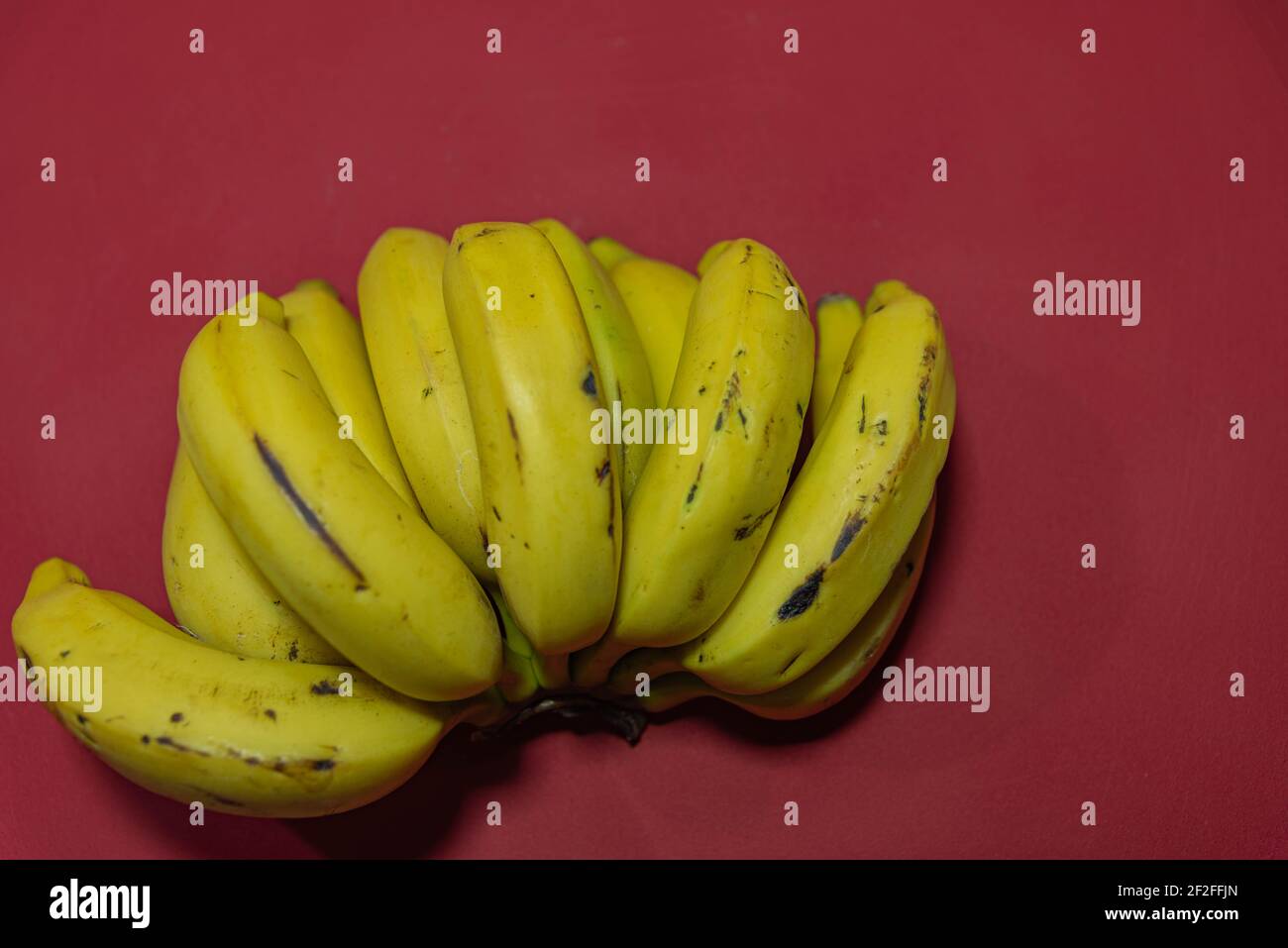 Bunch of yellow bananas. Bananas on the red background. Exotic fruit