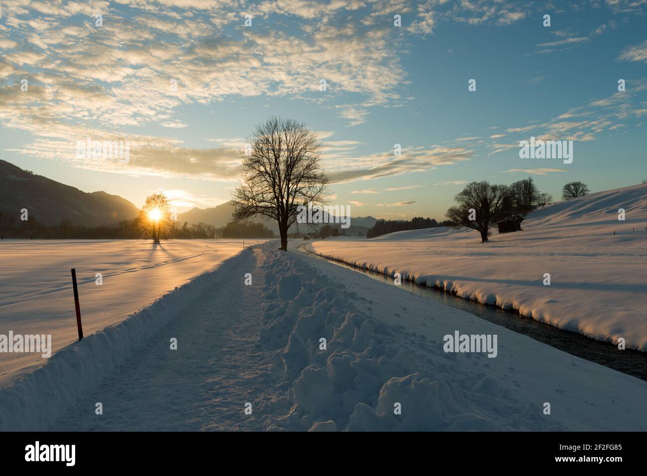 Winter landscape, Bergener Moos, Chiemgau Stock Photo