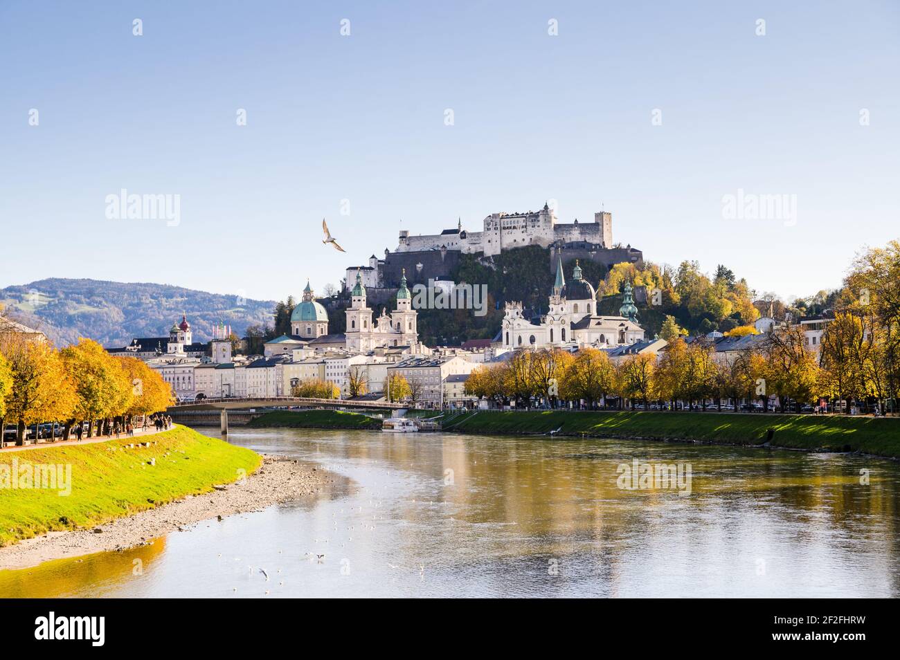 SALZBURG WIKIPEDIA visual data 2