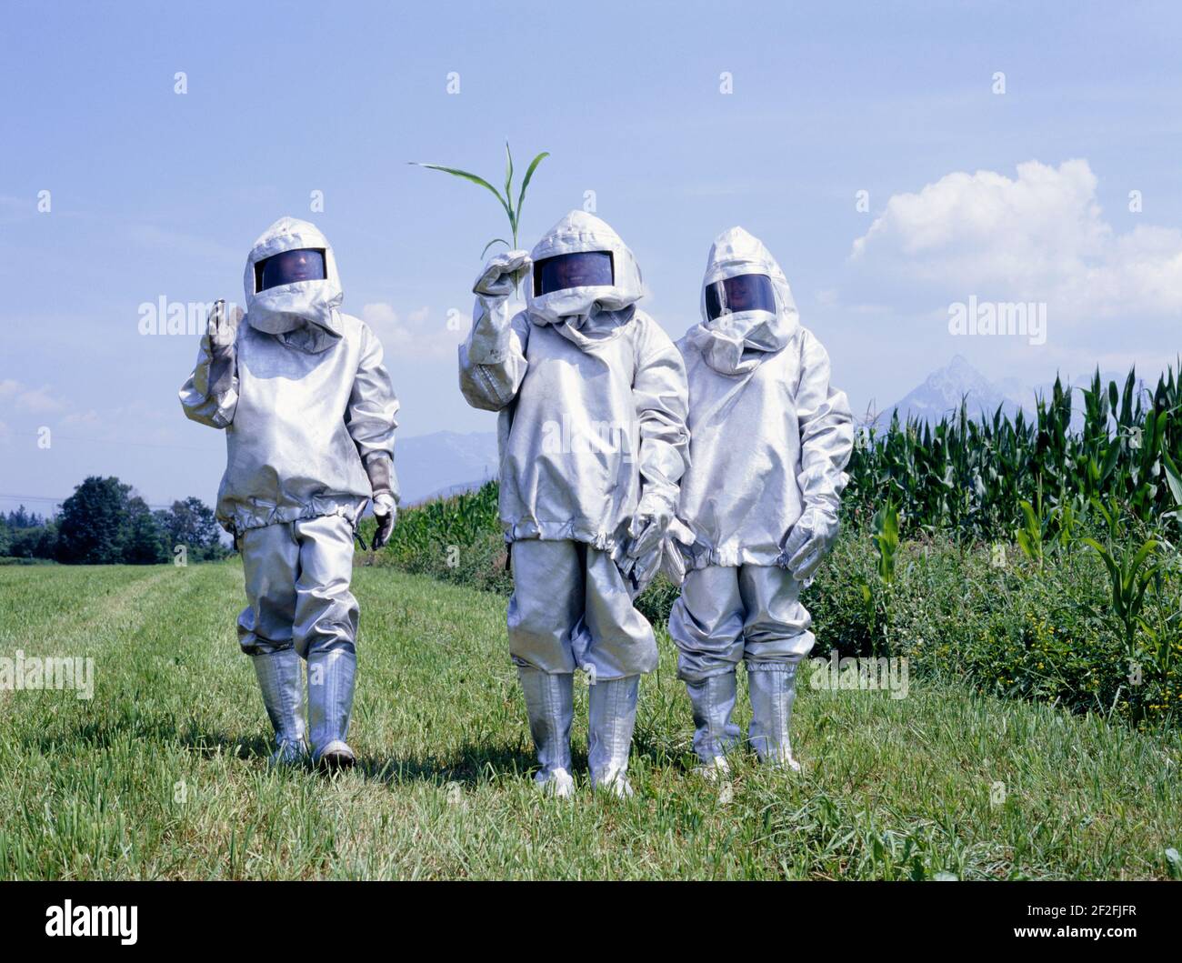 3 people in protective suits next to the corn field Stock Photo