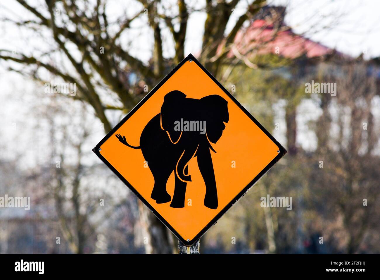 Warning sign talking about an elephant in the street, a tourist attraction of Nantes, France. Stock Photo