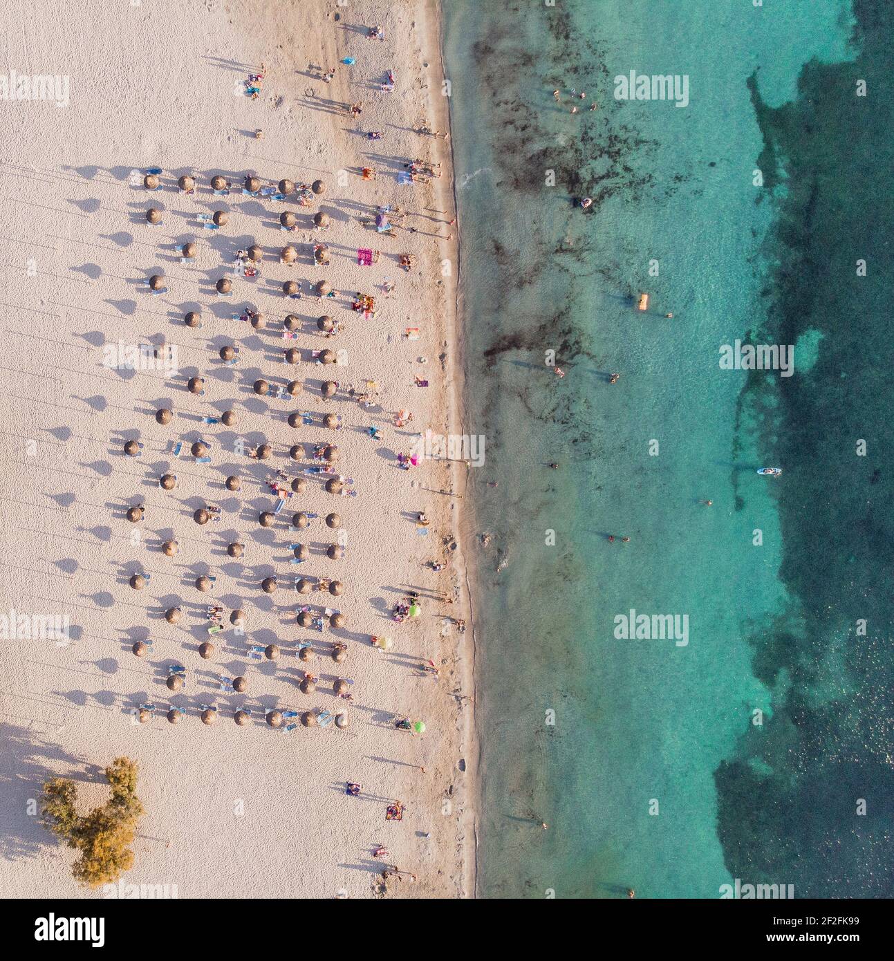 Overhead aerial photo of sandy the beach shore with turquoise water, people and umbrellas in Santa Ponsa - Majorca Stock Photo