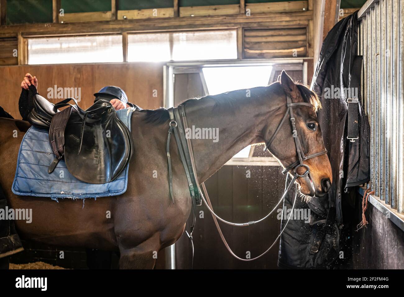 Page 2 Stable Lad High Resolution Stock Photography And Images Alamy
