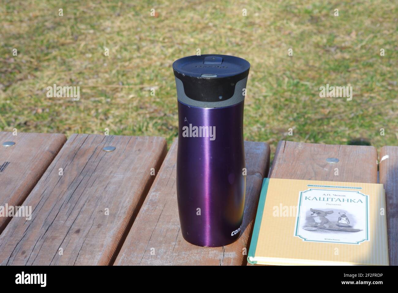 Navy Blue Thermo Mug and Book Outdoor- Anton Chekhov Каштанка Stock Photo