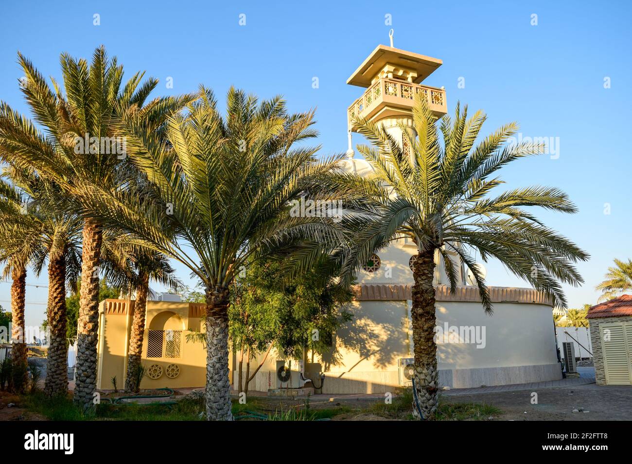 A small old mosque surrounded by date palm trees Stock Photo