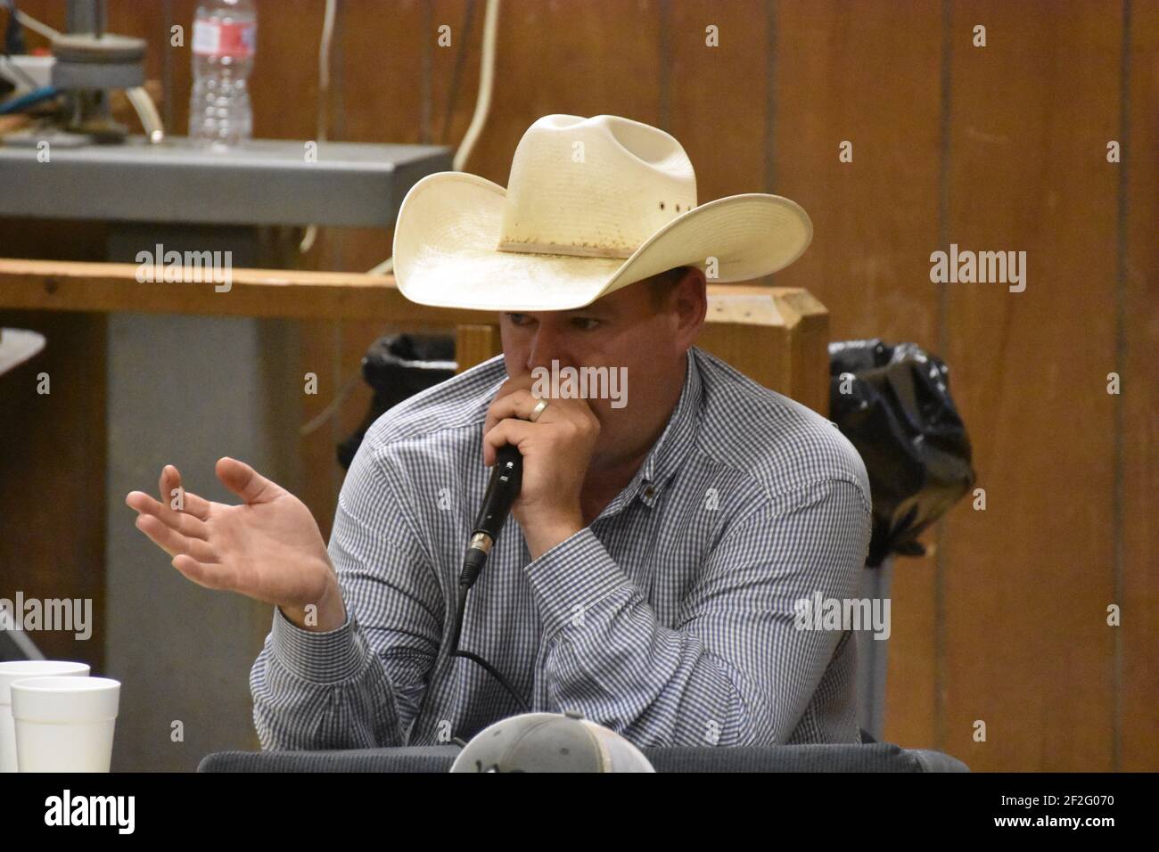 Livestock Auction In New Summerfield Tx at Joshua Tapp blog