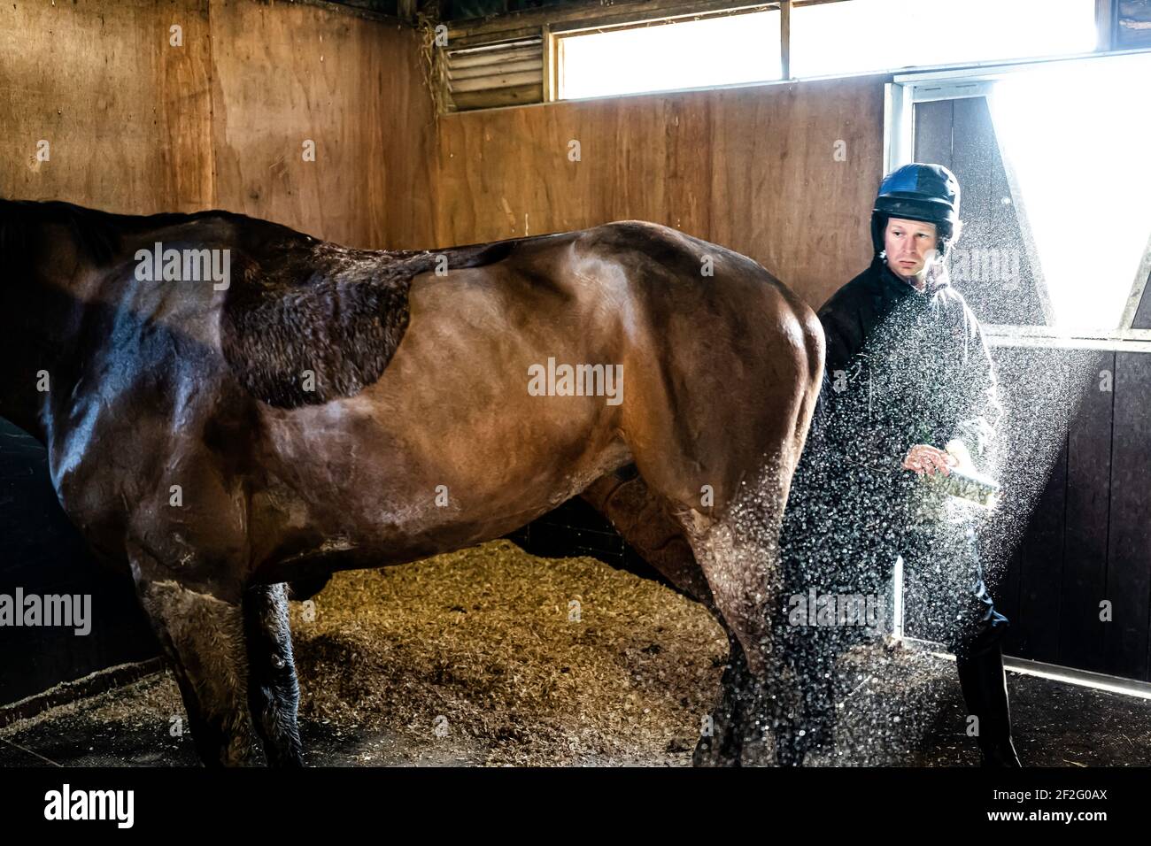 Page 2 Stable Lad High Resolution Stock Photography And Images Alamy