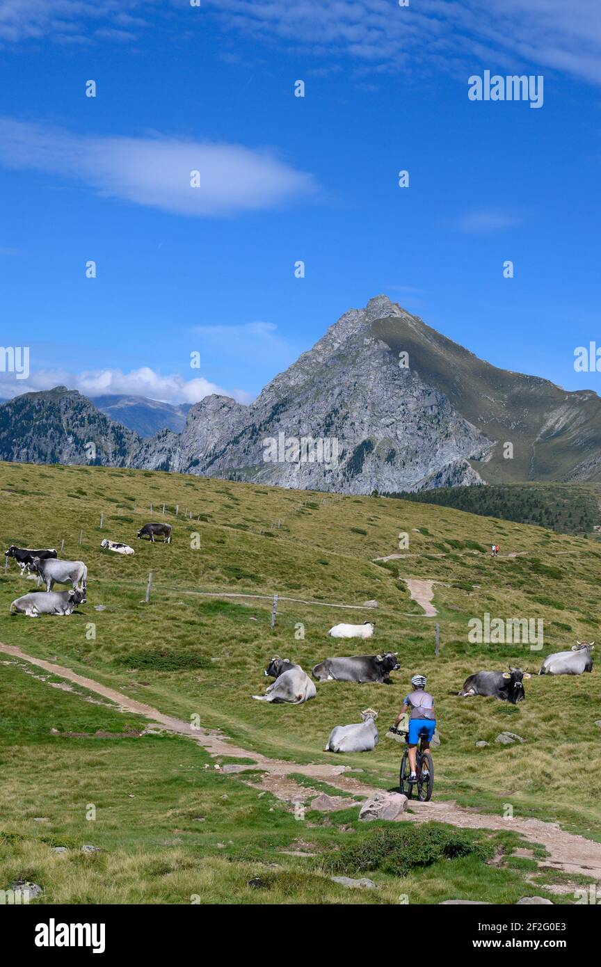 Italy, Trentino-Südtirol / Alto Adige, South Tyrol, Sarntal Alps, Tschoegglberg, high plateau, Verano, Meran 2000 Bike Region Trail Tolerance Singletrail MTB Tour Stock Photo