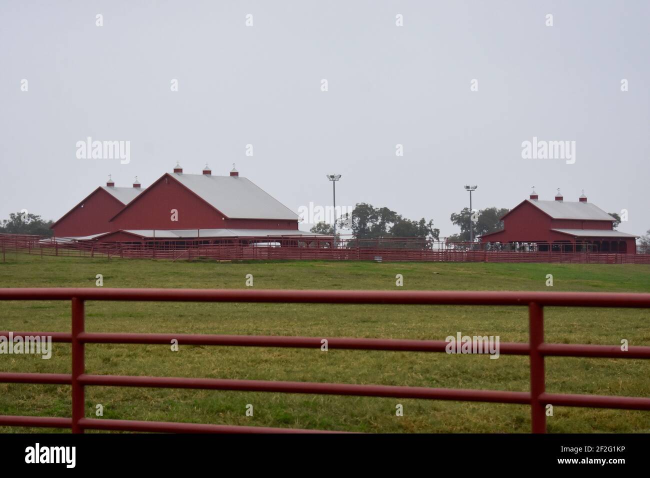 Coyboy hat hires stock photography and images Alamy