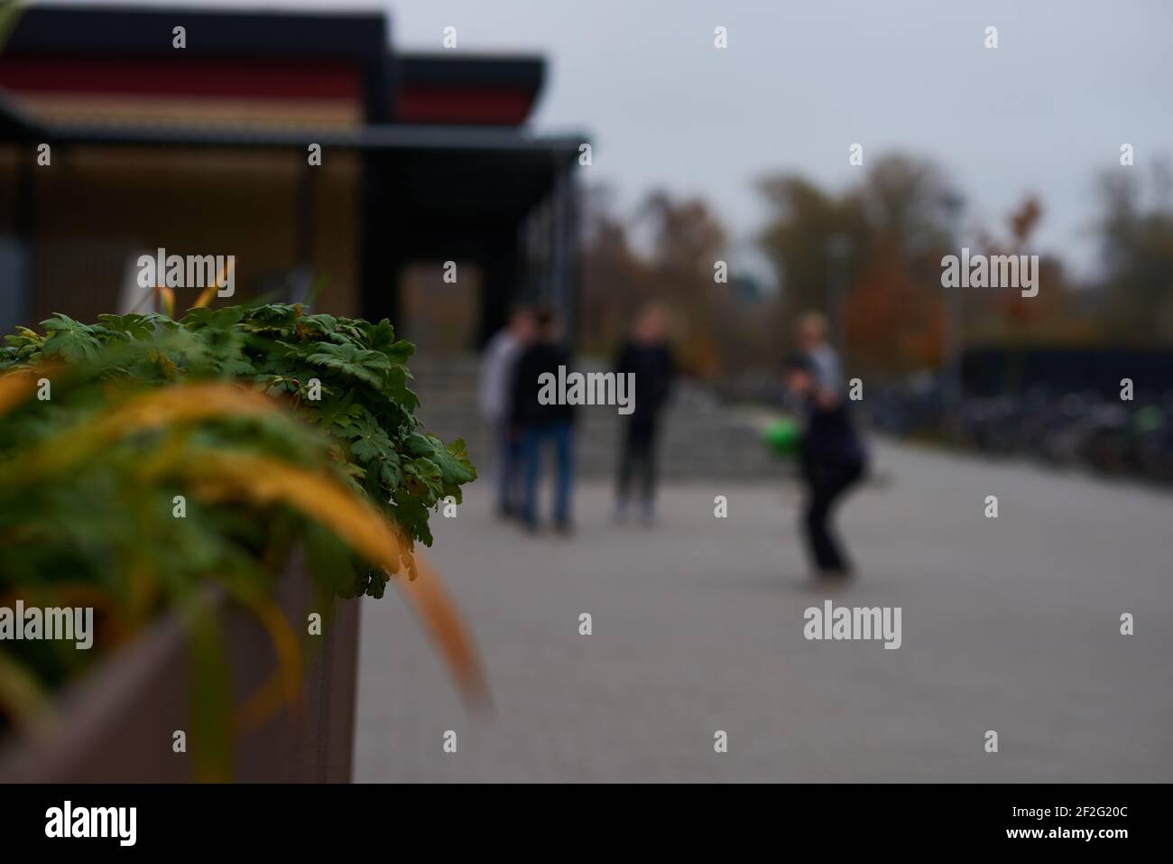 Plants school class hi-res stock photography and images - Alamy