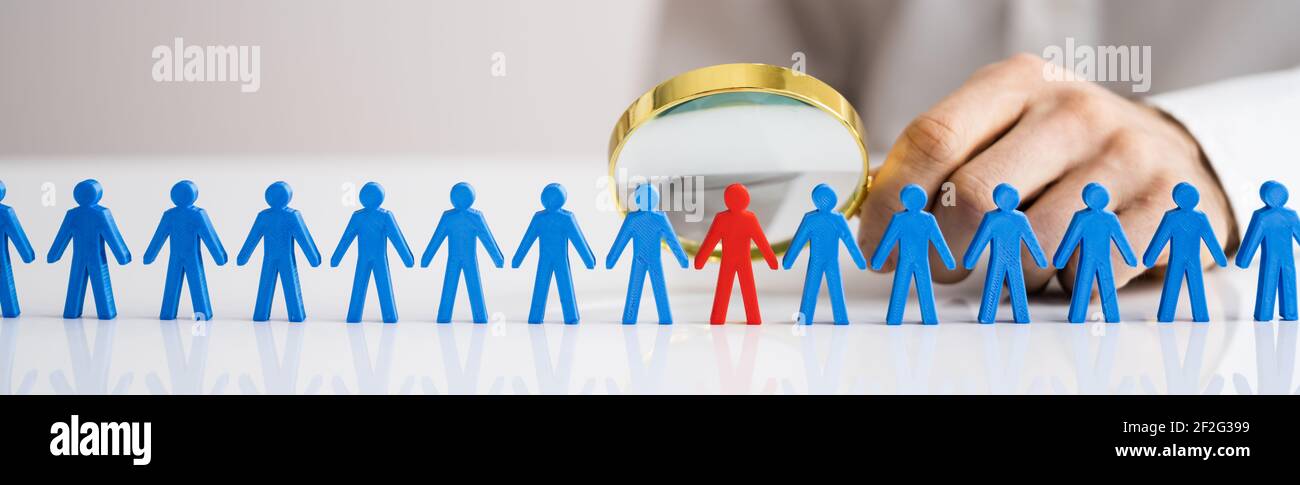 Job Interview Candidate Selection And Search For Company Stock Photo ...