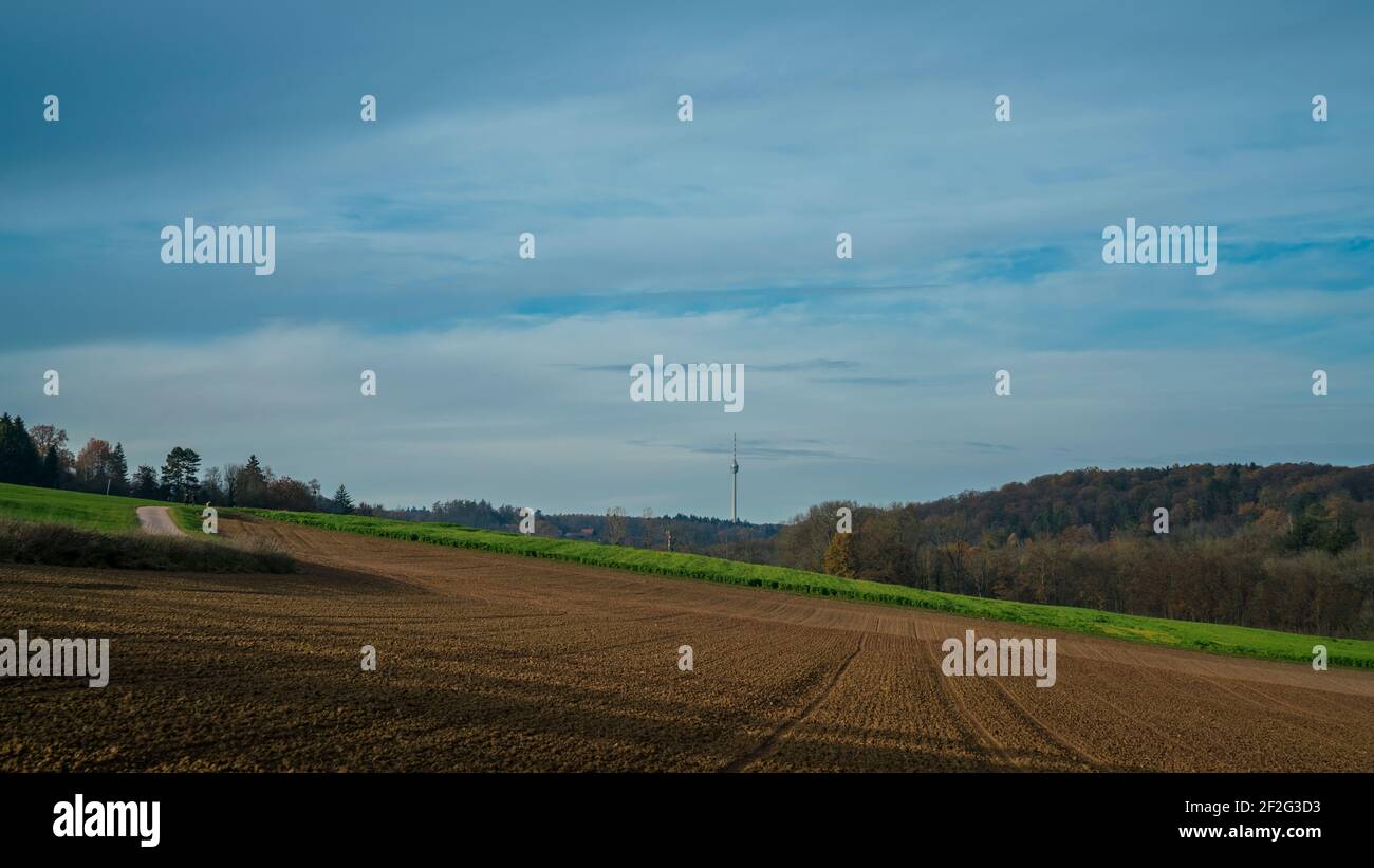 Stuttgart city forest in autumn hi-res stock photography and images - Alamy
