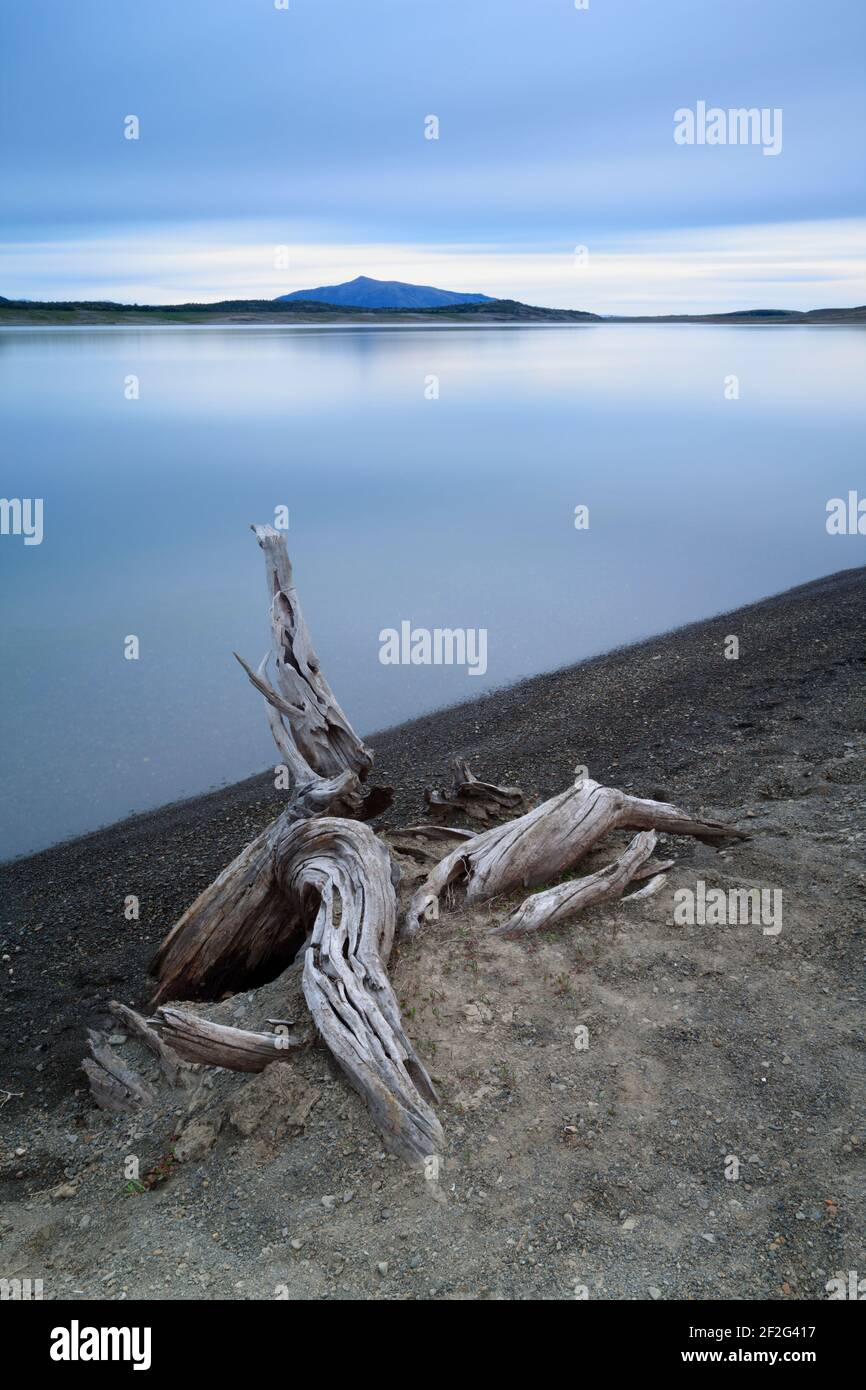 geography / travel, Argentina, Patagonia, tree stump on the shore of Lago Roc, Additional-Rights-Clearance-Info-Not-Available Stock Photo