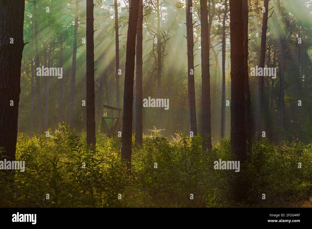 Warm rays hi-res stock photography and images - Alamy