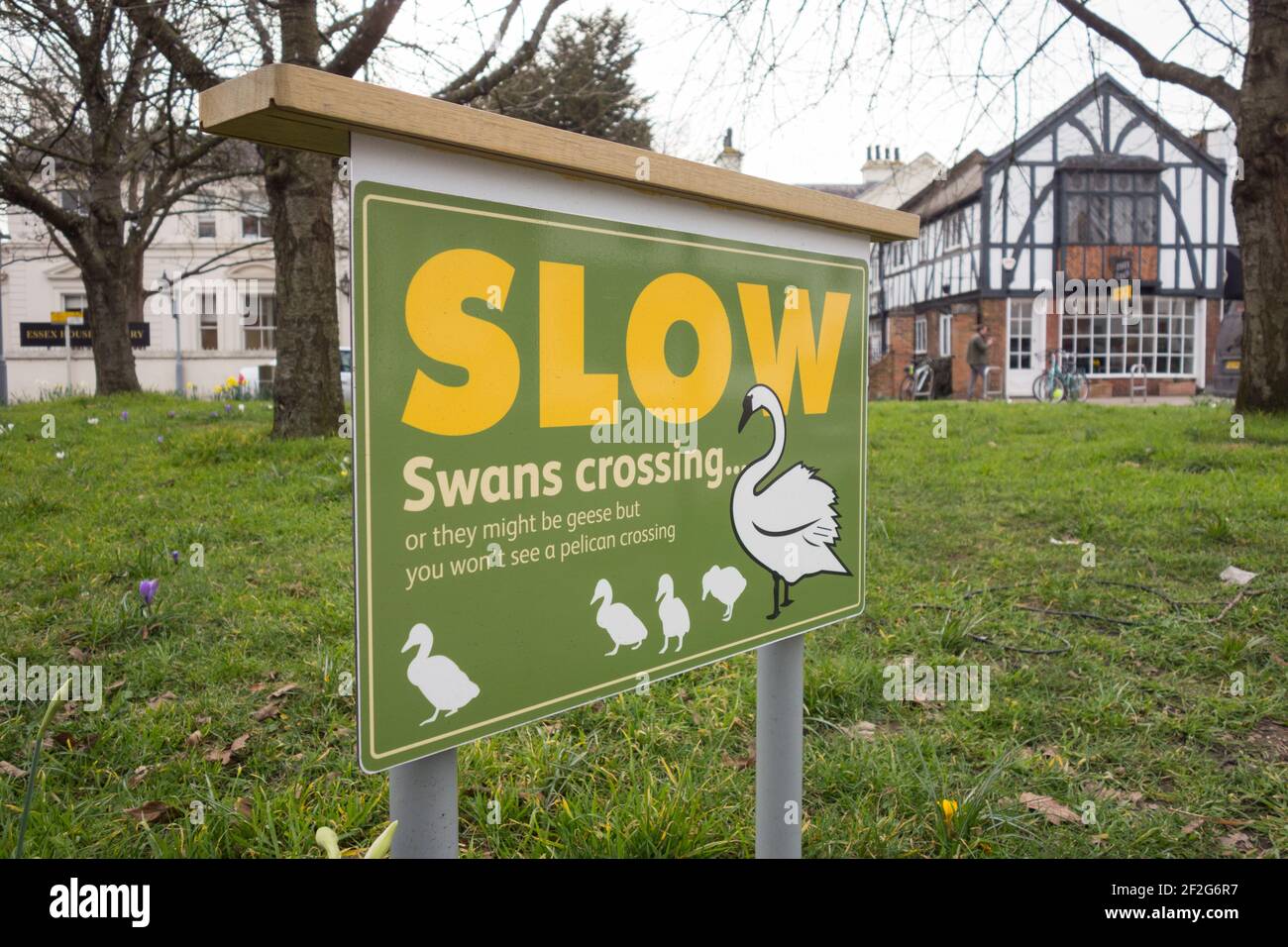 Slow Swans Crossing sign near the pond in Barnes, southwest London, U.K. Stock Photo