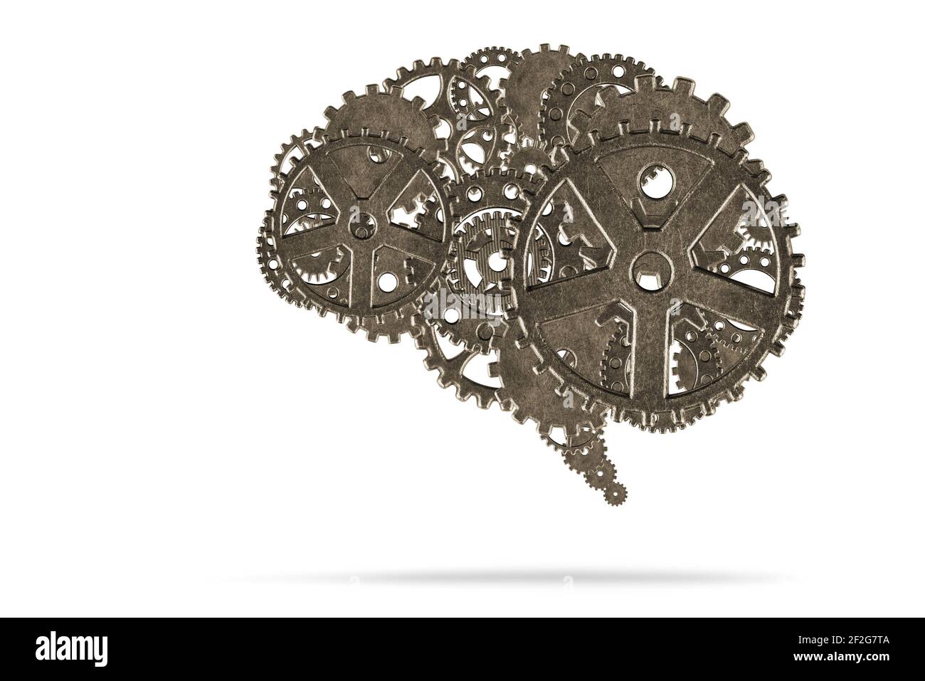 Human brain with metallic gears on white background Stock Photo