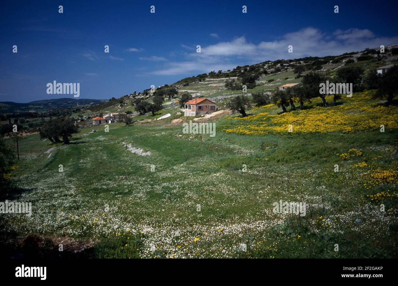 The Greek Island of Zante Stock Photo - Alamy