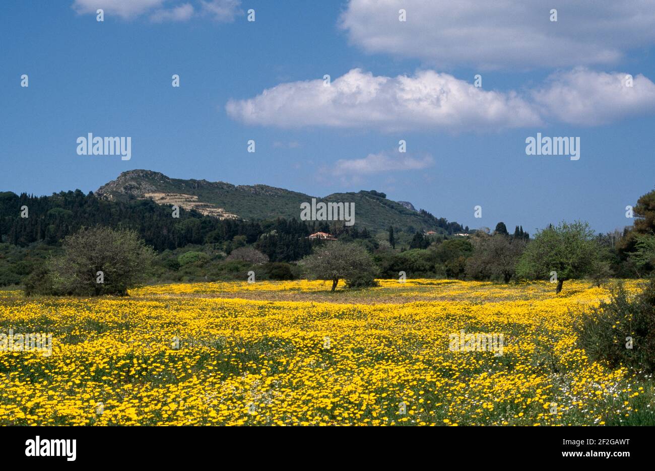 The Greek Island of Zante Stock Photo - Alamy