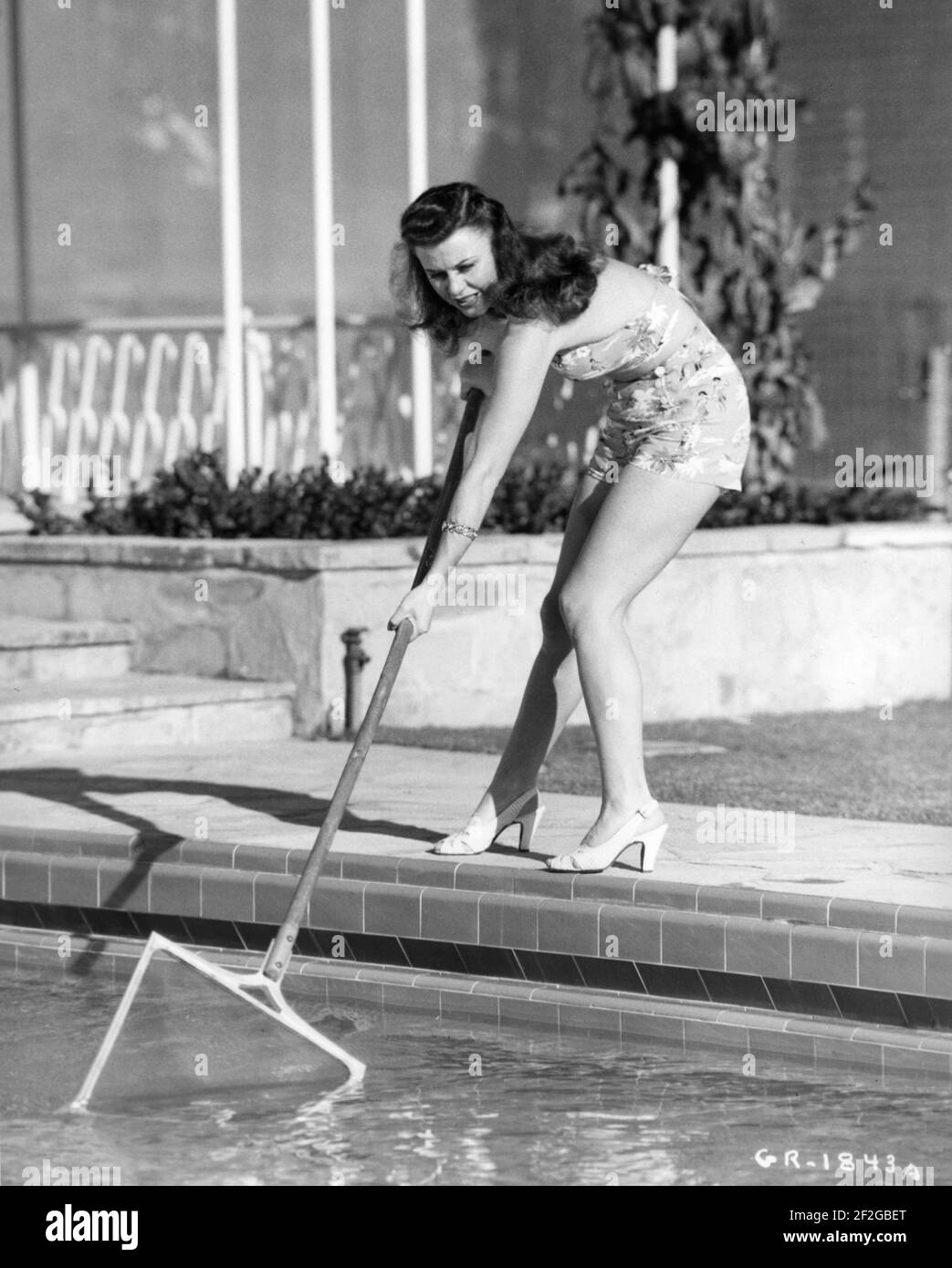 Ginger rogers portrait hires stock photography and images Alamy