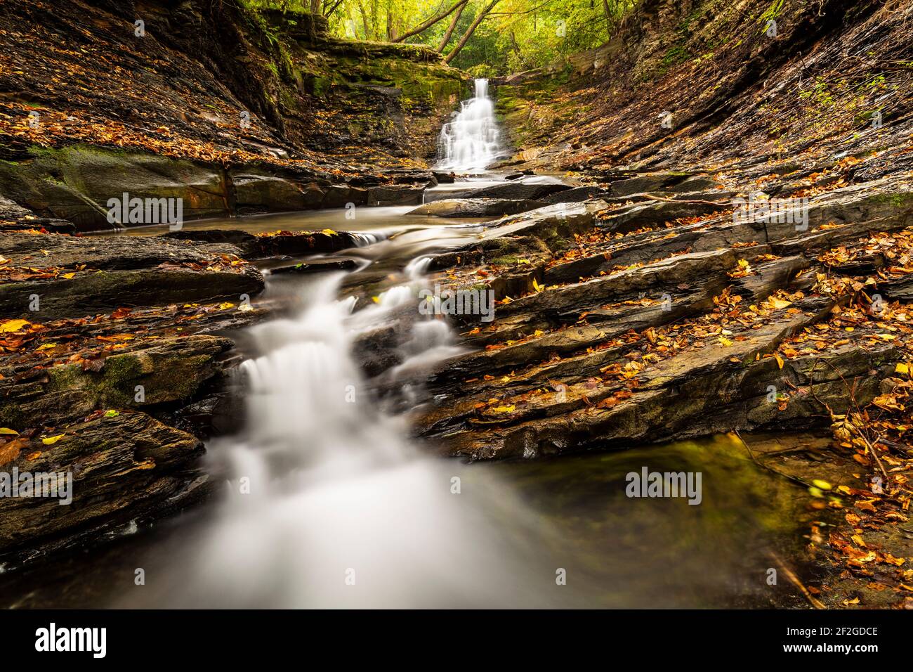 Europe, Poland, Podkarpackie Voivodeship, Beskid Niski - Waterfall in Iwla village in administrative district of Dukla Stock Photo