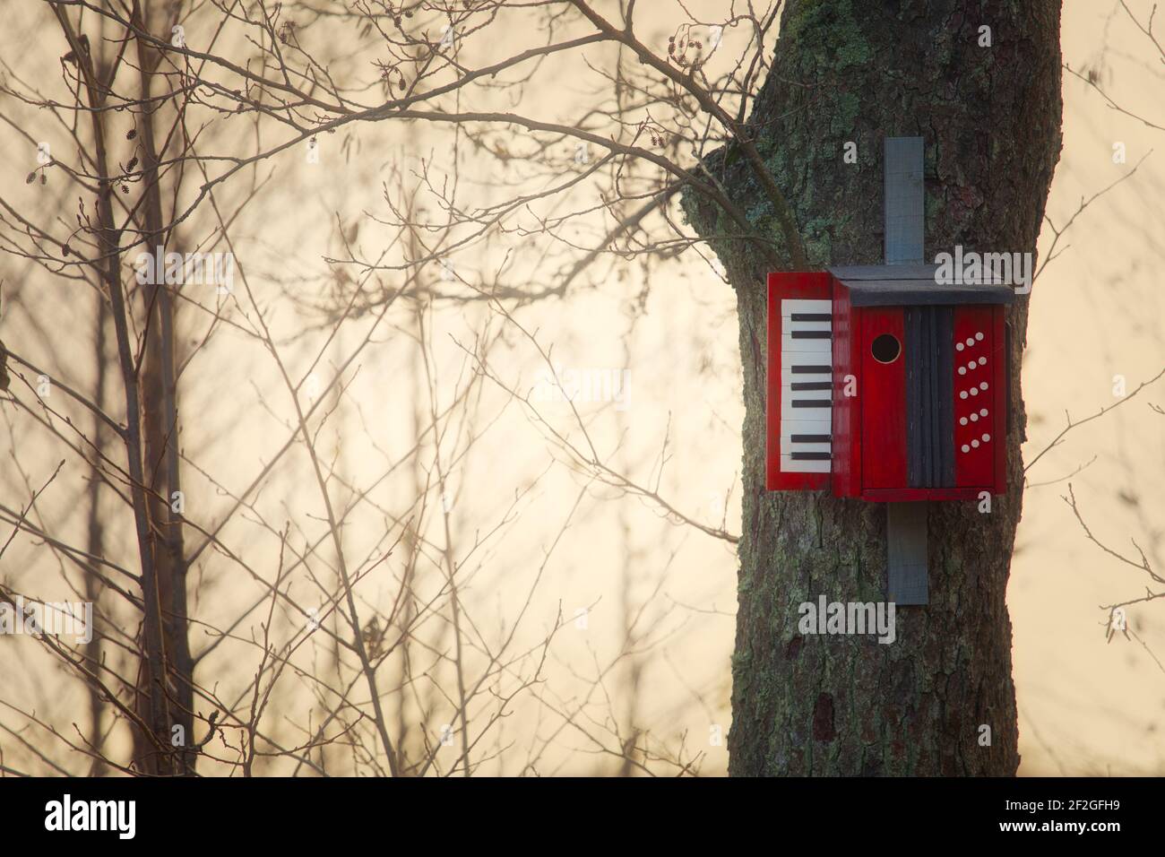 Unusual wooden birdbox in shape of piano keyboard attached to tree in forest. Concept of nature, different, unusual, creativity Stock Photo