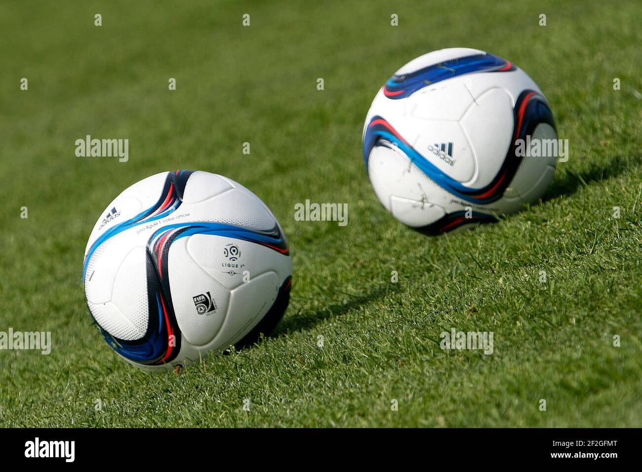 Official Adidas Pro Ligue 1 ball during the Stade de Reims first training  session of 2015-