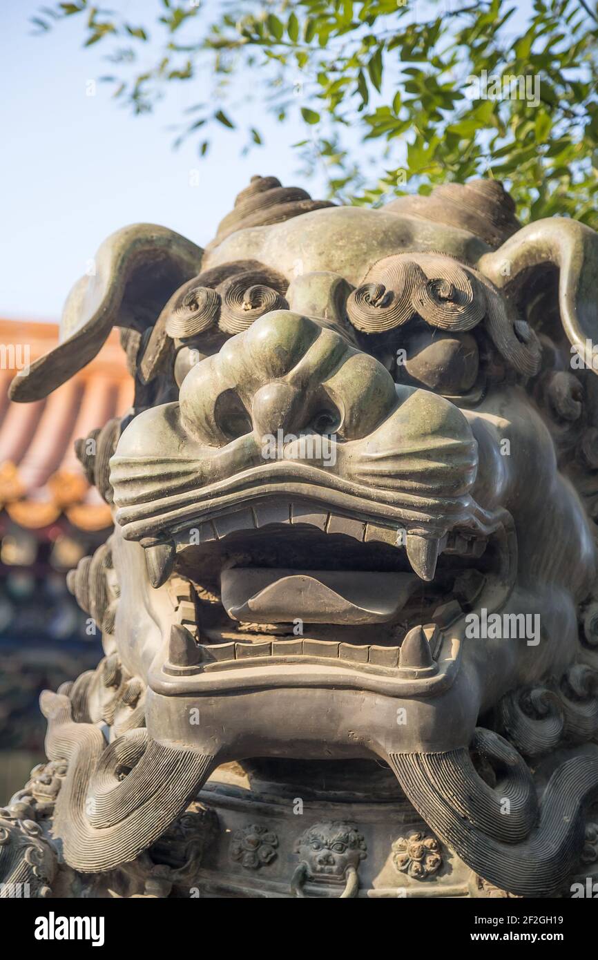 bronze-guardian-lion-statue-in-yonghe-temple-lama-temple-in-beijing