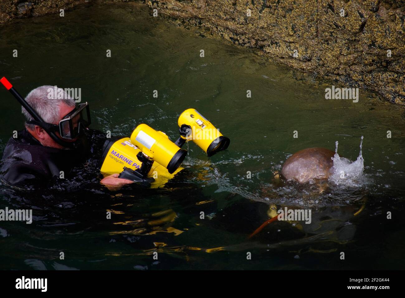 Historic Diving Club Demonstration Stock Photo - Alamy