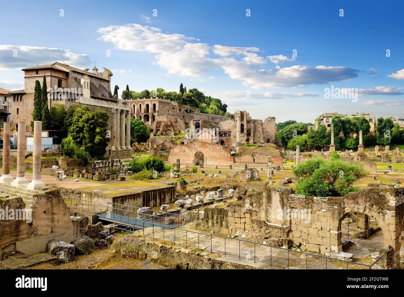Ruins of Roman Forum in summer, Italy Stock Photo