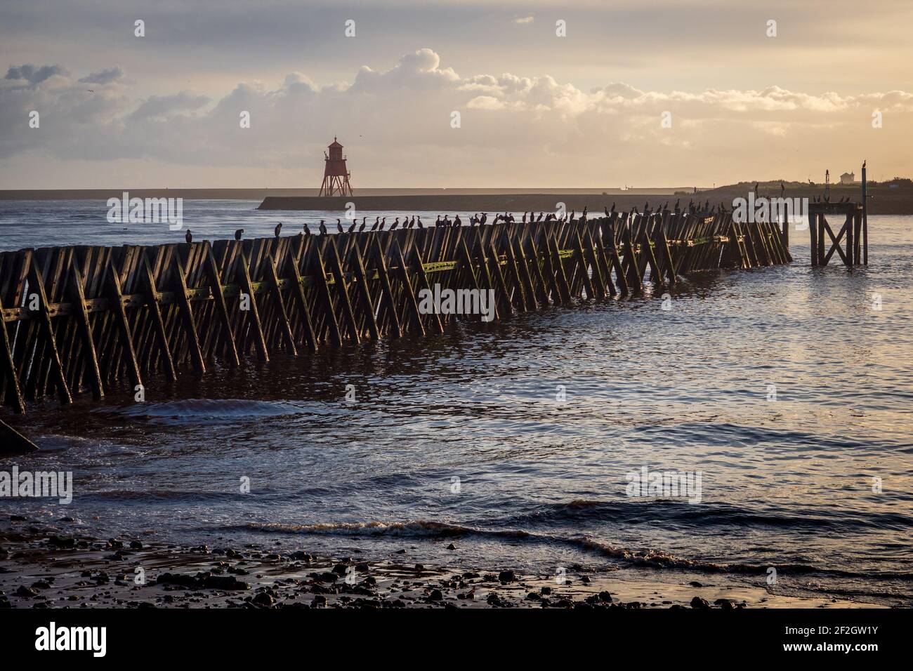 North Shields Fish Quay Stock Photo Alamy