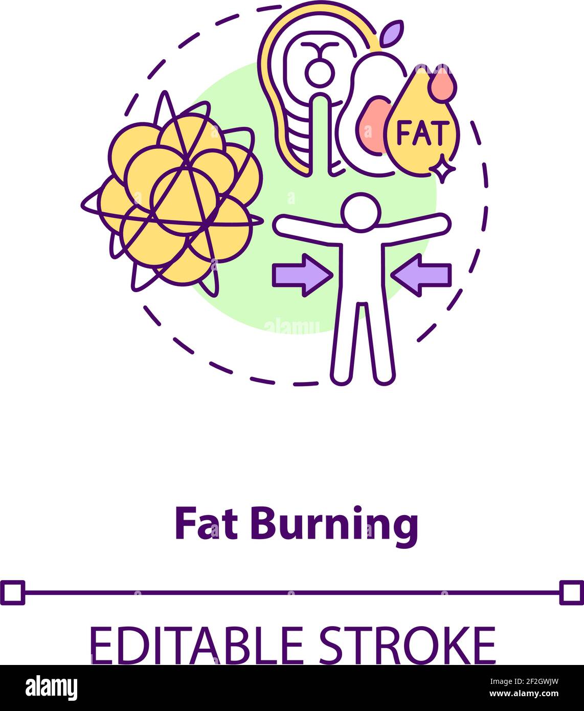 Fat burning concept icon Stock Vector Image & Art Alamy