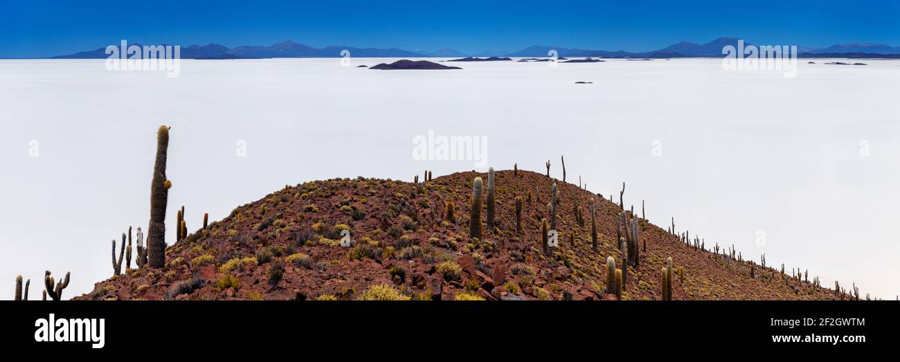 geography / travel, Bolivia, Potosi, White immensity of the gigantic Uyuni salt flat in Bolivia Sud Li, Additional-Rights-Clearance-Info-Not-Available Stock Photo