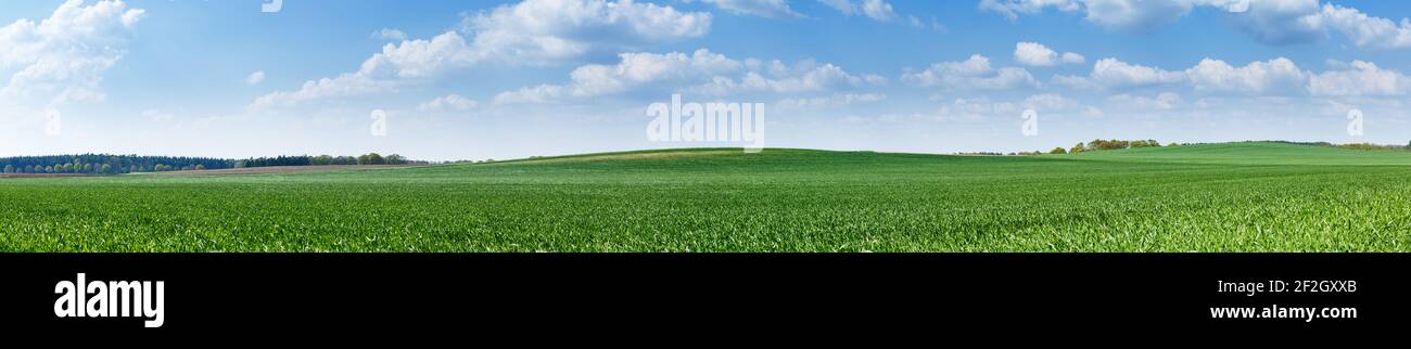 Panorama of green meadow with blue sky and clouds on a sunny summer day Stock Photo
