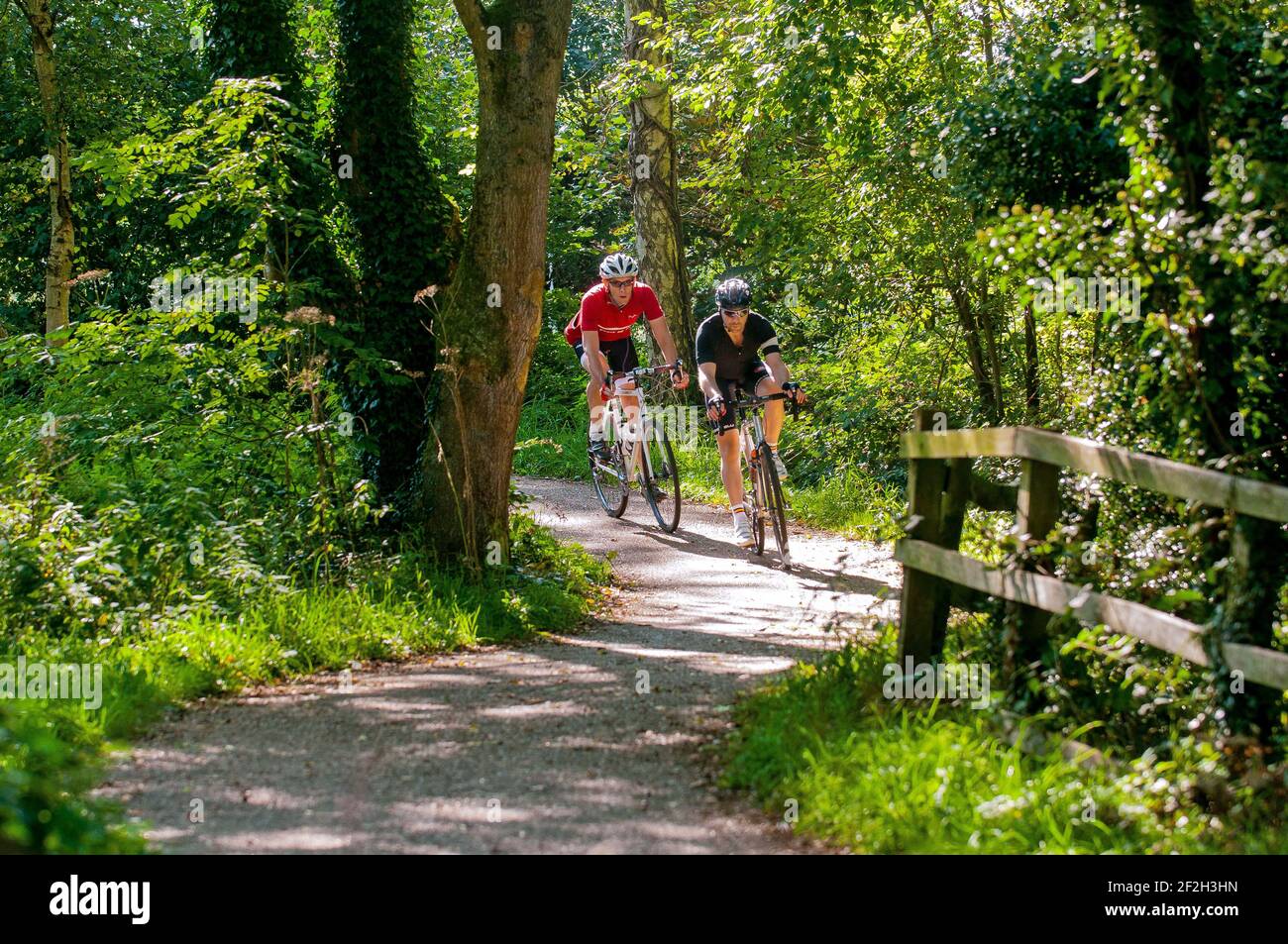 can you cycle the south downs way