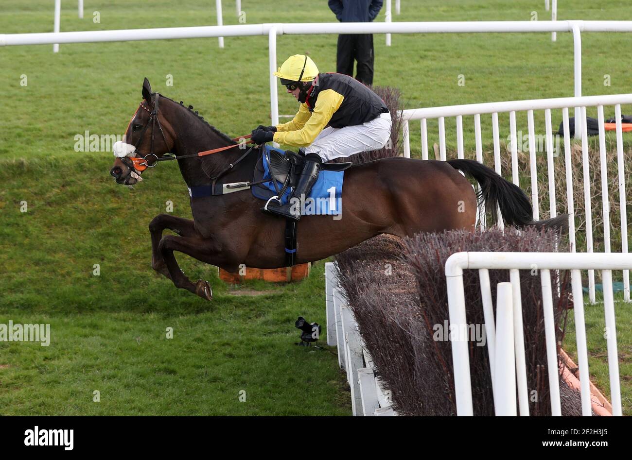 Espoir De Romay Ridden By David Bass Clears The Last Before Going On To Win The